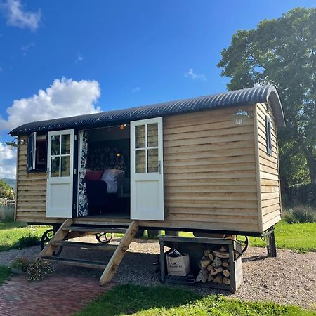 Toadland Shepherd Huts Durham Exterior foto