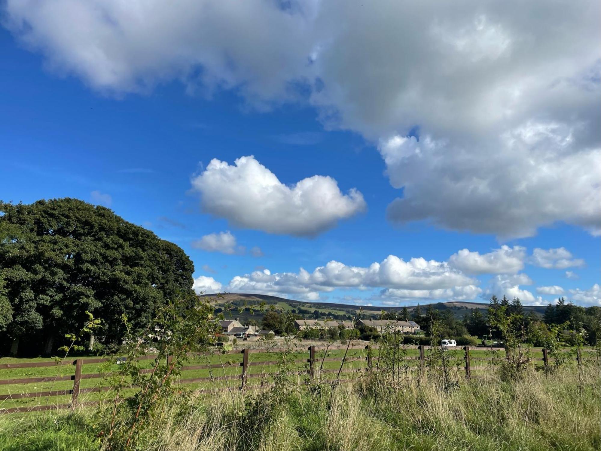Toadland Shepherd Huts Durham Exterior foto